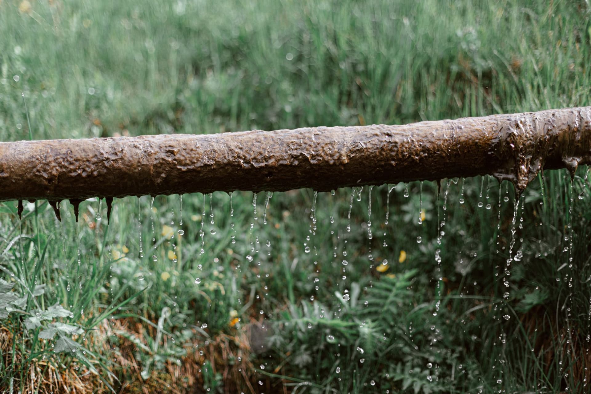 Corroded pipe leaking water along its length