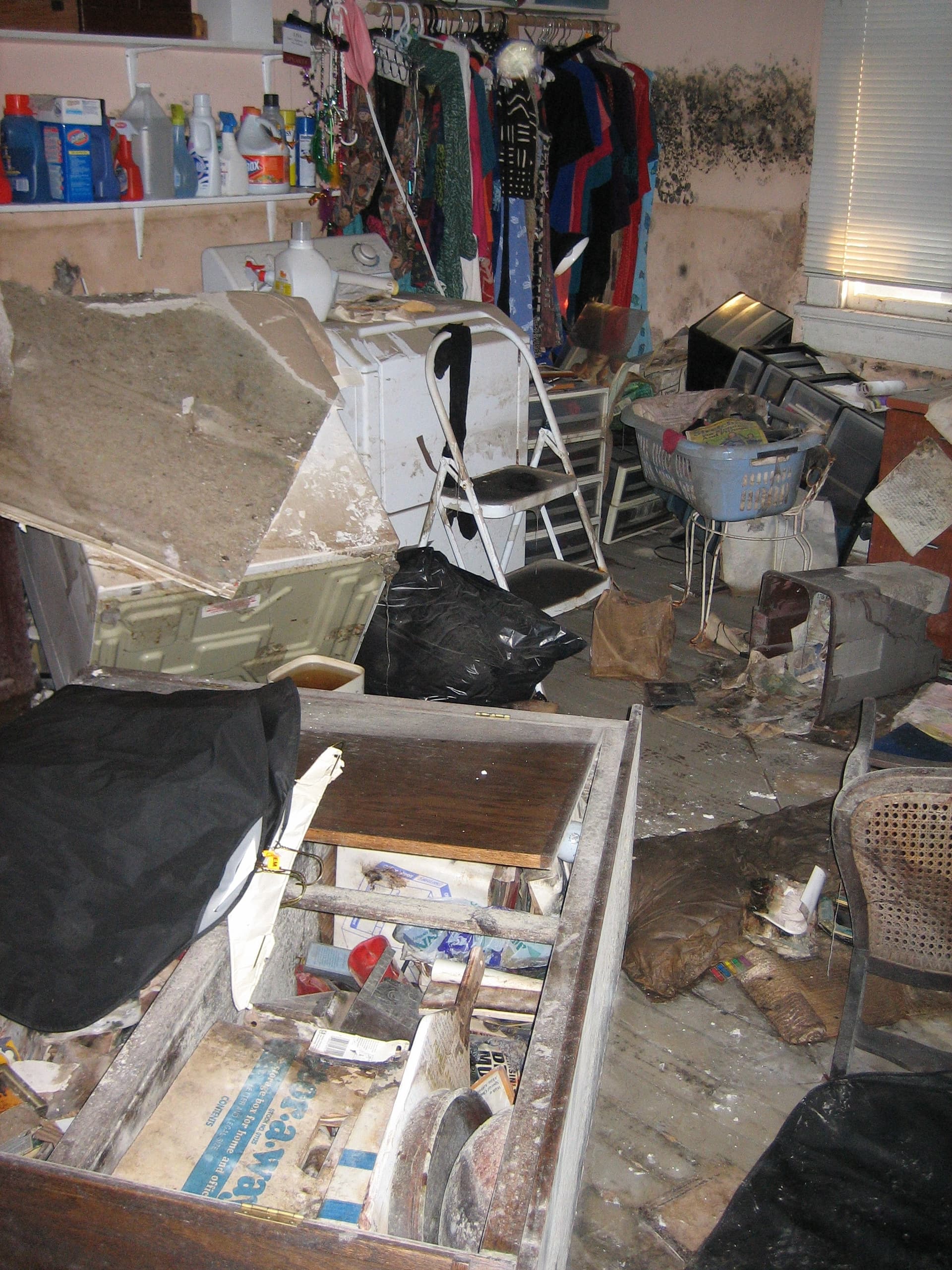 Black mold growth on utility room walls after water damage