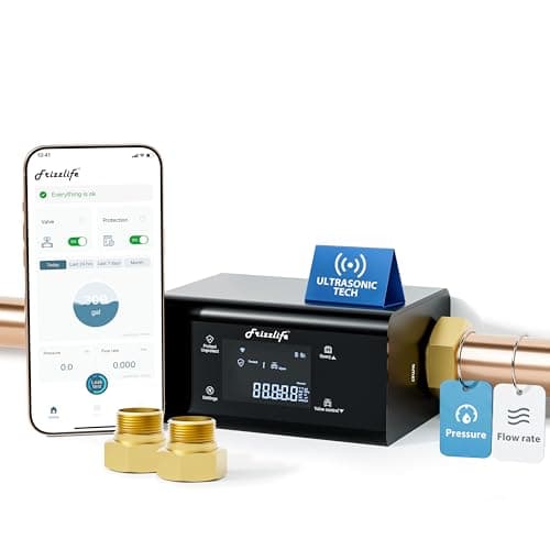 Frizzlife LP365-P Smart Water Monitor and Automatic Shutoff (Pressure + Flow, 0.01 GPM, 3/4 in and 1 in)