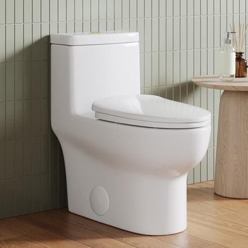 DeerValley Elongated One Piece Toilet (Dual Flush 1.1/1.6 GPF, MaP 800 g, 16 7/8 in Seat Height)