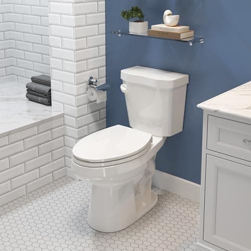 HOROW 17 in Two-Piece Elongated Toilet (1.28 GPF Single Flush, MaP 1,000 g, ADA Chair Height)