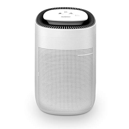 Tenergy Sorbi Dehumidifier and True HEPA Purifier Combo (750 ml/day)