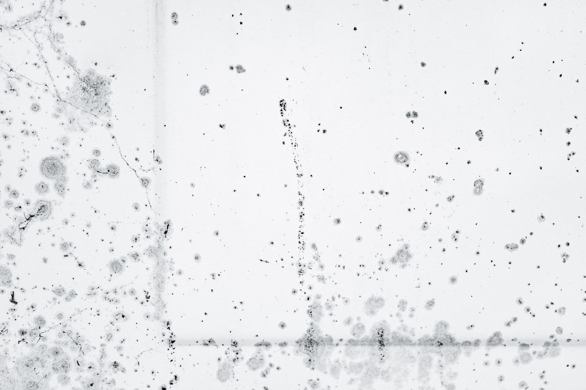 Mold and mildew spotting across a bathroom wall