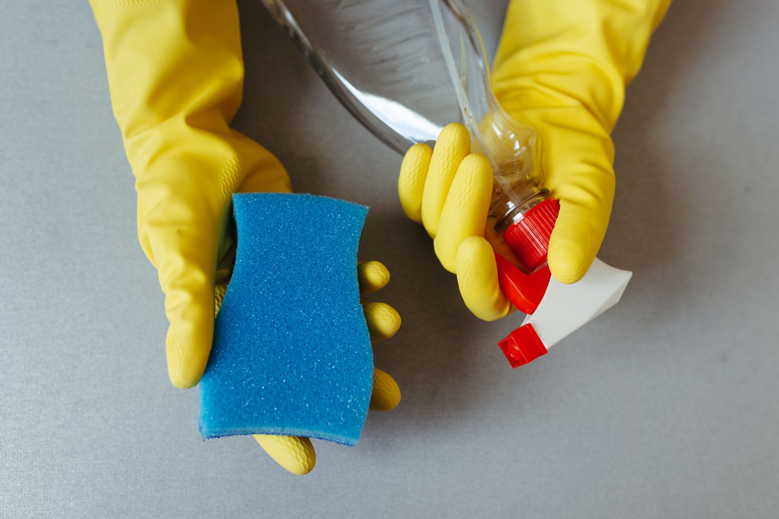 Gloved hands with spray bottle and sponge ready for mold cleaning